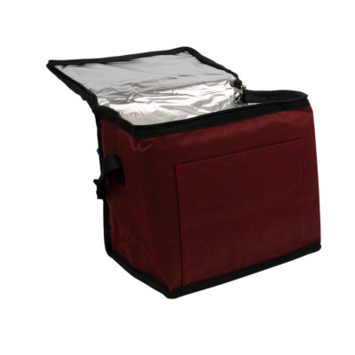 Nevera Coolerbag 8 L