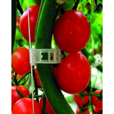 Clip Especial Tomates 24 mm Blíster 30 uds