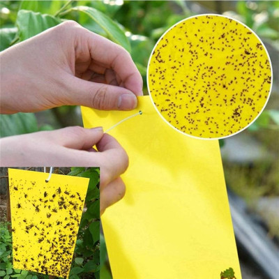 Placa Adhesiva Atrapa Insectos Pack 10 uds