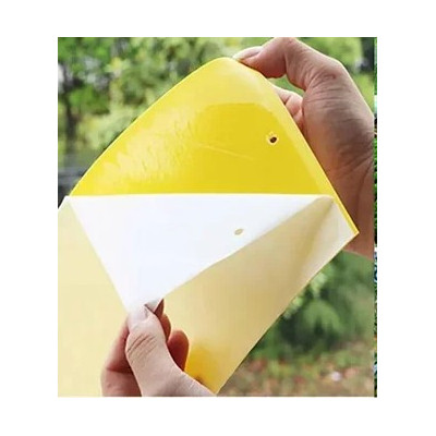 Placa Adhesiva Atrapa Insectos Pack 10 uds